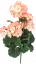 Umělý Muškát Pelargonie x9 růžová 45cm