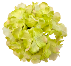 Hortenzia hlava 18cm umelá zelená
