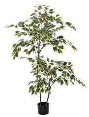 Mesterséges fa Ficus cserépben 150cm