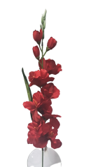 Komad Gladiola u vazi 78cm crveni umjetni