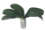 Umělé dekorační listy