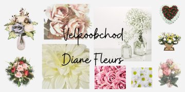 Spouštíme e-shop pro velkoobchod