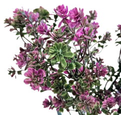 Umelá kytička Rozchodník Sedum ʹDazzleberryʹ 29cm zelená, fialová