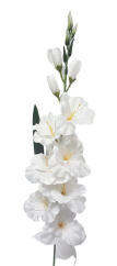 Gladiola kusová do vázy 78cm bílá umělá
