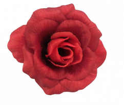 Růže hlava květu 3D O 10cm červená umělá