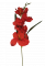 Gladiola Mečík malá červená 54cm umělá