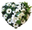 Smuteční věnec "Srdce" z růží a clematisu 60cm x 60cm krémový, bílý umělý