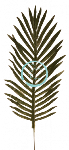 List palmový zelený 50cm umělý