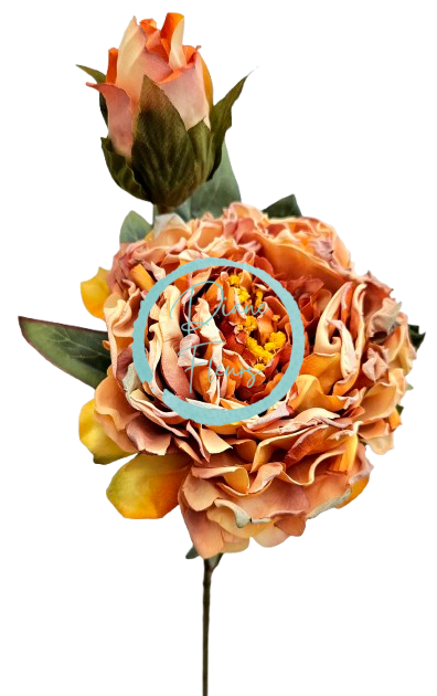 Pezzo di peonia essiccata Esclusiva 1+1 66cm arancione artificiale