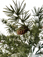 Artificial twig pine cones x5 35cm Green - beautiful design