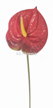 Floare artificială de calitate si frumoasă Anthurium ideală pentru decorare - color - roșu