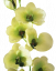 Orhidee artificială de lux x9 verde 95cm silicon, cauciuc, flori artificiale