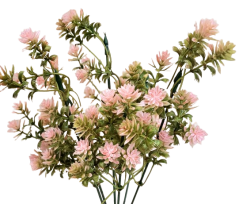 Umjetni buket Sedum ʹDazzleberryʹ 29cm ružičasta