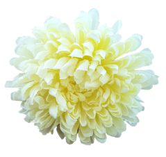 Główka kwiatu chryzantemy O 16cm kremowa sztuczna