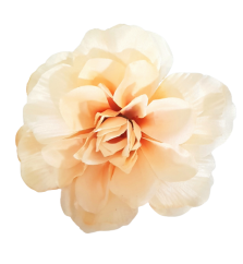 Dahlia hlava kvetu Ø 11cm žltá, krémová umelá