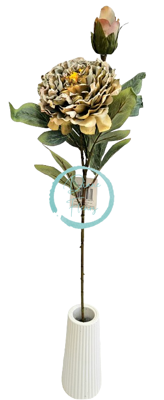 Posušena potonika Exclusive 1+1 66cm umetna zelena