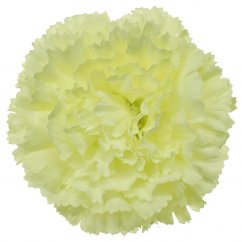 Artificial Carnations Head Ø 7cm Cream - the price is for a package of 12 pcs