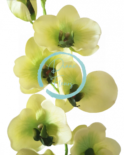 Luxusná umelá orchidea x9 zelená 95cm silikónová, gumová