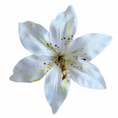 Cap de floare de crin Ø 14cm alb flori artificiale